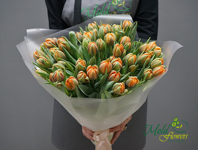 Dutch Peony Tulips in Orange photo
